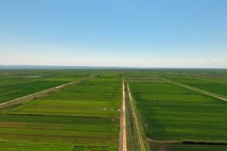 Καλλιεργώντας με… χειρουργική ακρίβεια