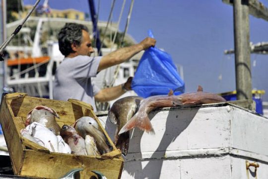 Η Μεσόγειος στερεύει από ψάρια