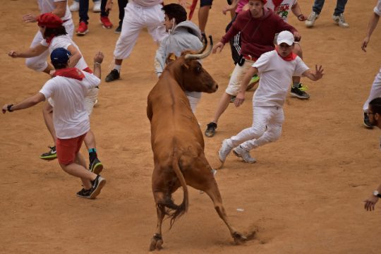 Δεκατέσσερις τραυματίες στο φεστιβάλ της ντροπής