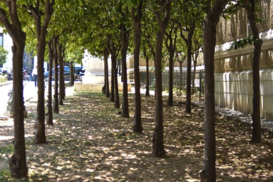 Ζέστη αλλά και τοπικές βροχές