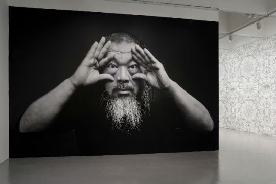 Στα ίχνη των ακτιβιστών του κόσμου