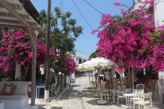 «Με φωνάζουν γκαρσόν…»
