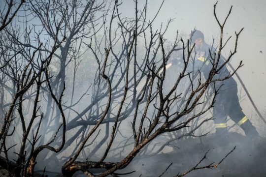 Λάσπη στα αποκαΐδια