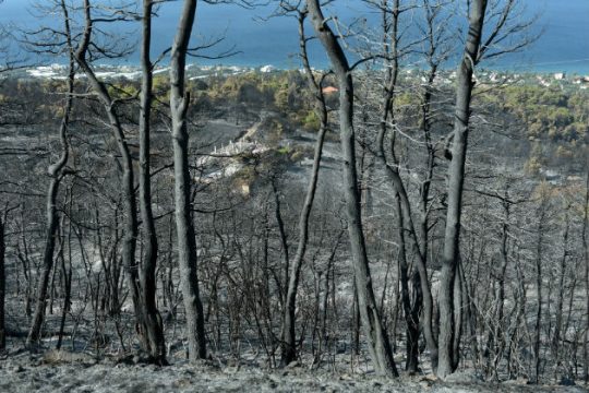 Τα έργα, κρίνονται