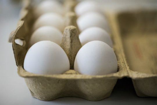 Σε 17 χώρες ταξίδεψαν τα μολυσμένα αυγά