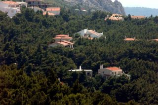 Τα ένοχα μυστικά του δάσους