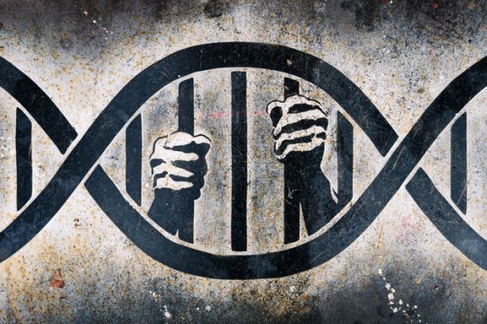 DNA και Ηριάννα