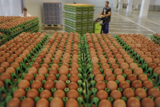 Τα μολυσμένα αυγά έφτασαν σε Γαλλία και Βρετανία