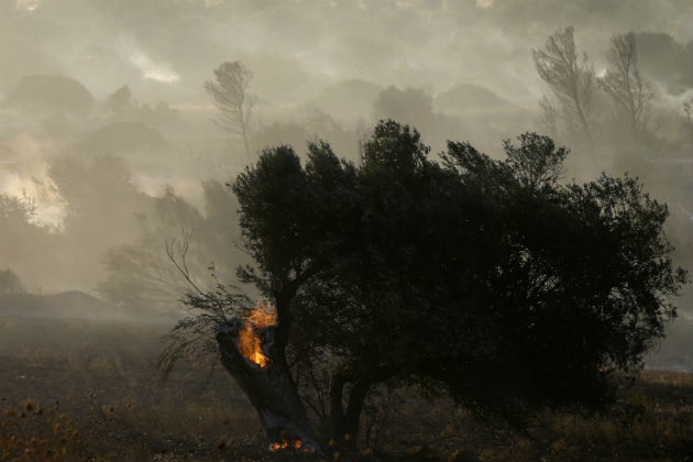 Πενήντα δασικές πυρκαγιές σε μια μέρα