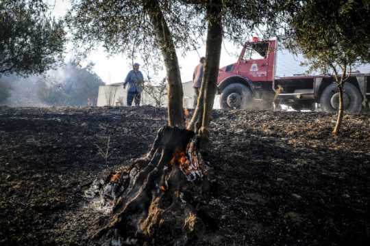 Συντονιστικό εμείς, Συντονιστικό εσείς…
