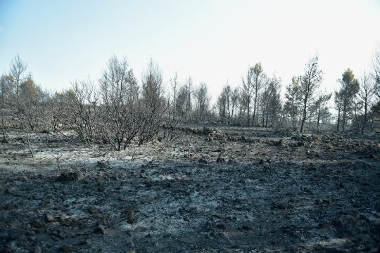 Αποζημιώσεις και φοροελαφρύνσεις για τους πληγέντες