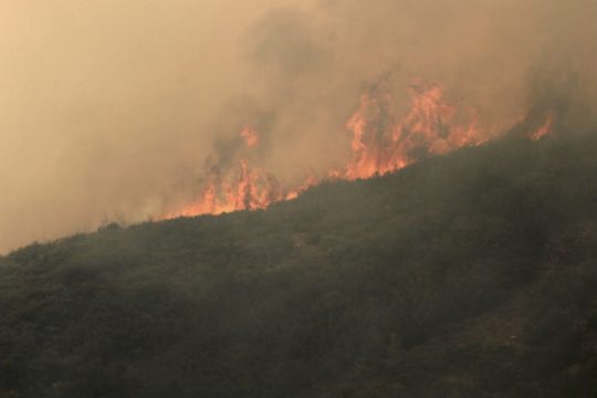 Πυρκαγιά στα Διάσελα Ηλείας