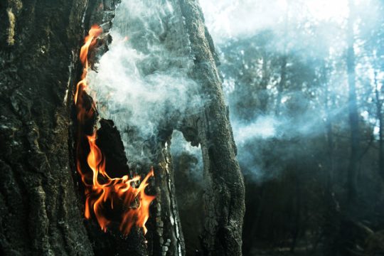 Πρόγνωση ανέμων, τραγωδία των κοινών