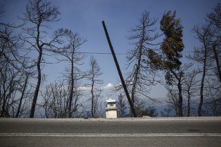 Μαζί με τα χλωρά…