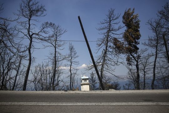 Μαζί με τα χλωρά…