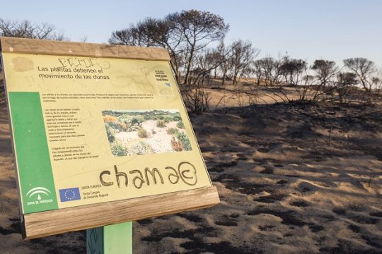 Η υπόλοιπη Μεσόγειος καίγεται περισσότερο