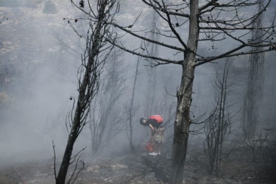 Οργανωμένο σχέδιο