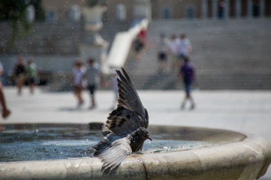 Παράταση λειτουργίας κλιματιζόμενων χώρων λόγω ζέστης