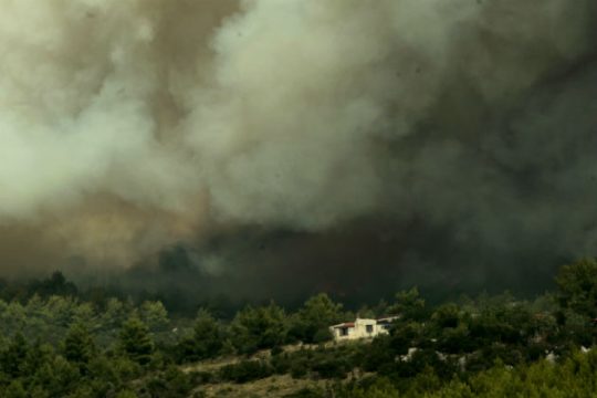 Εκεί όπου κάποτε ήταν δάσος… [Video]