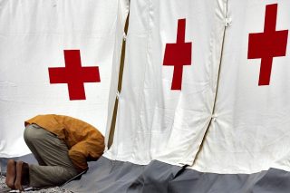 Η μετανάστευση των κτηνών