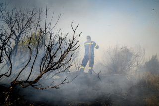 Πυρκαγιά στην Ηλεία ξυπνά μνήμες
