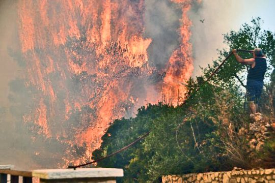 Σχέδιο καταστροφής του πρασίνου στη Ζάκυνθο