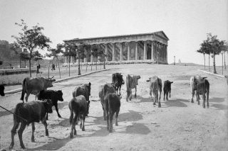 Εξαιρετικά κεραμικά Ιζνίκ και… μοσχάρια στο Θησείο