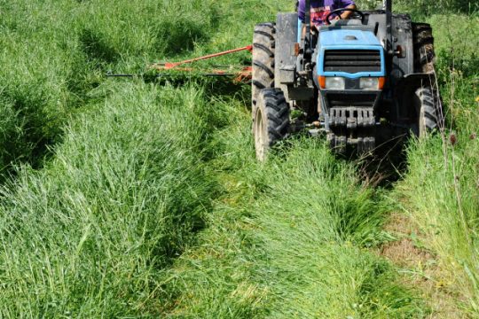 Λασίθι: Αγρότης σκοτώθηκε όταν τον πλάκωσε το τρακτέρ του
