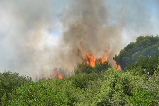 Σε εξέλιξη φωτιά στα Λεγρενά Αττικής