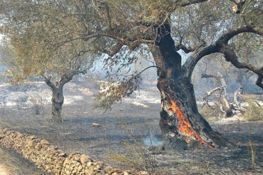 Χωρίς ενεργό μέτωπο οι φωτιές στη Ζάκυνθο