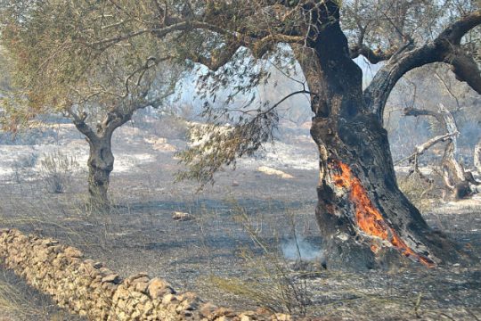 Καλύτερη η εικόνα του πύρινου μετώπου στη Ζάκυνθο