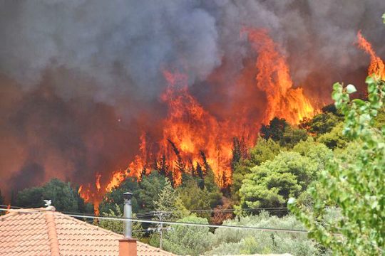 Ολοι στη Ζάκυνθο μιλούν για εμπρησμούς