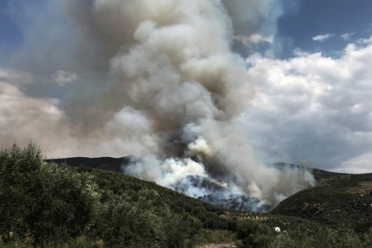 Σε ύφεση τα πύρινα μέτωπα σε Ζάκυνθο και Ηλεία