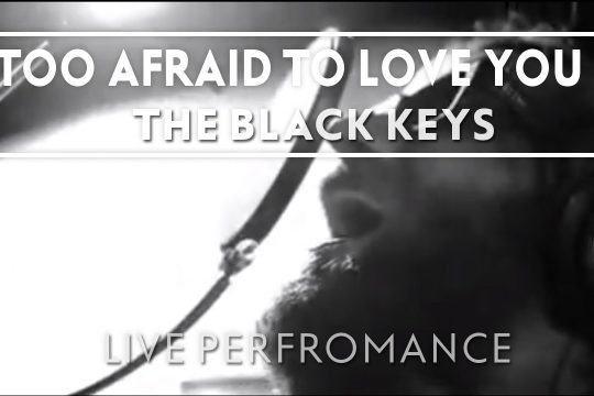 Too afraid to love you