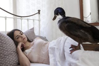 Ανοδική «Πορεία» και του χρόνου «Γιούγκερμαν»