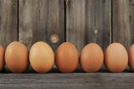 Δεν βρίσκουν -προς το παρόν- fipronil στα ελληνικά αυγά