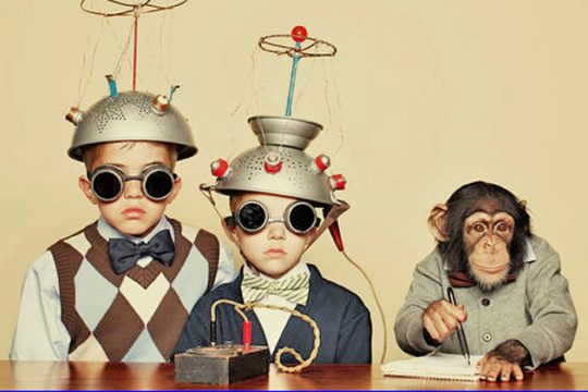 Brain Training