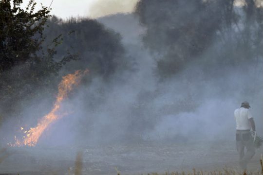 Σε εξέλιξη φωτιά στον Ξηρόκαμπο της Αρχαίας Ολυμπίας