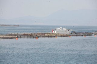 Απομάκρυνση ιχθυοτροφείου ζητούν κάτοικοι στη Σιθωνία Χαλκιδικής