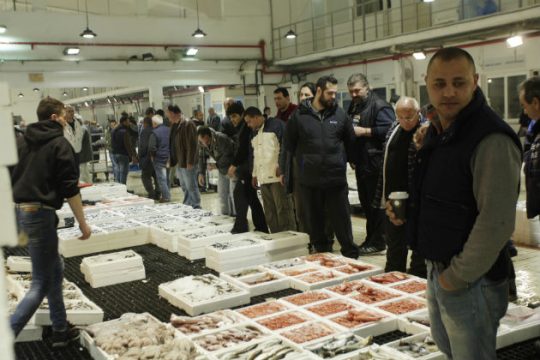Δεν έχουν εντοπιστεί περιπτώσεις αλιευμάτων που να έχουν μολυνθεί από πετρελαιοειδή