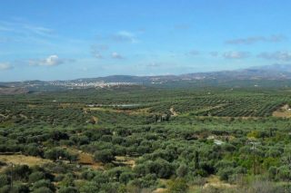 Αεροδρόμιο Καστελλίου: Οικολόγοι λόγω… τιμής