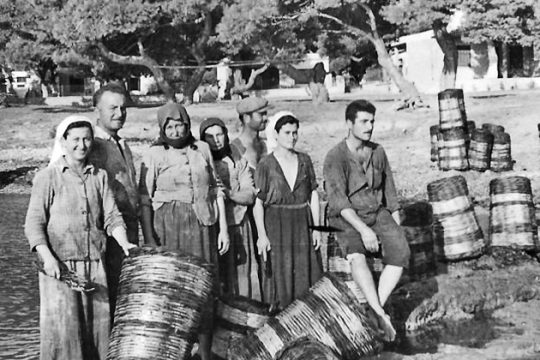 Μνήμες τρύγου στα Μεσόγεια