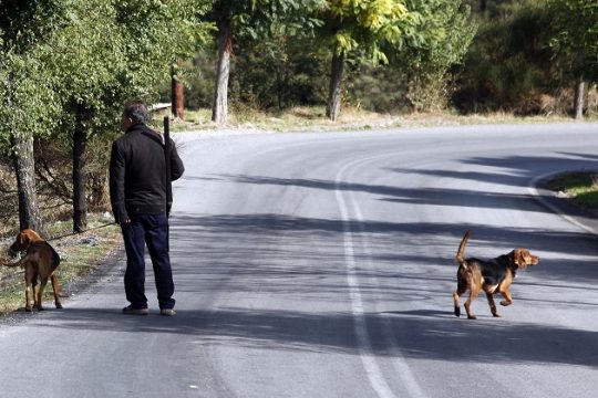 Το αίτιο