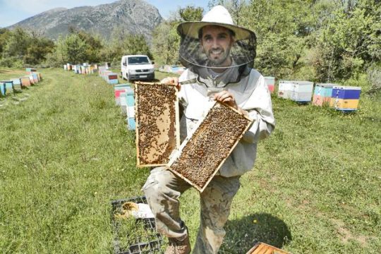 Ενας συνειδητοποιημένος βιολογικός μελισσοκόμος