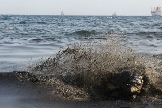 Και μετά τη χελώνα ήρθε το μαζούτ…