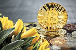 Από τις τουλίπες στα  bitcoins: μια φούσκα δρόμος
