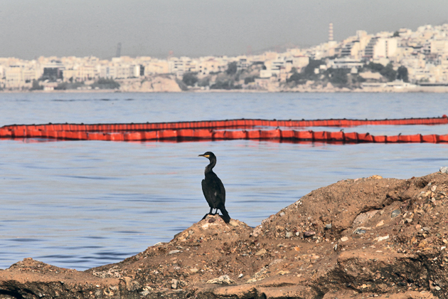 Τα «απόβλητα» μιας θαλάσσιας ρύπανσης