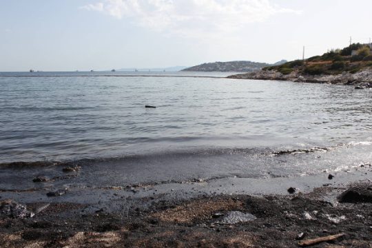 Greenpeace: Το περιβαλλοντικό έγκλημα στη Σαλαμίνα συνεχίζεται