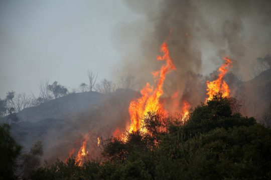 Πύρινα μέτωπα σε Σέρρες, Δράμα και Χαλκιδική