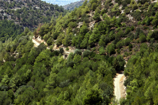 Ο Κοσμάς και ο ελληνικός κόσμος του